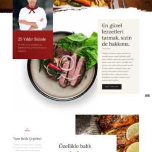 Reha Web Lokanta Restaurant Site Paketi 01